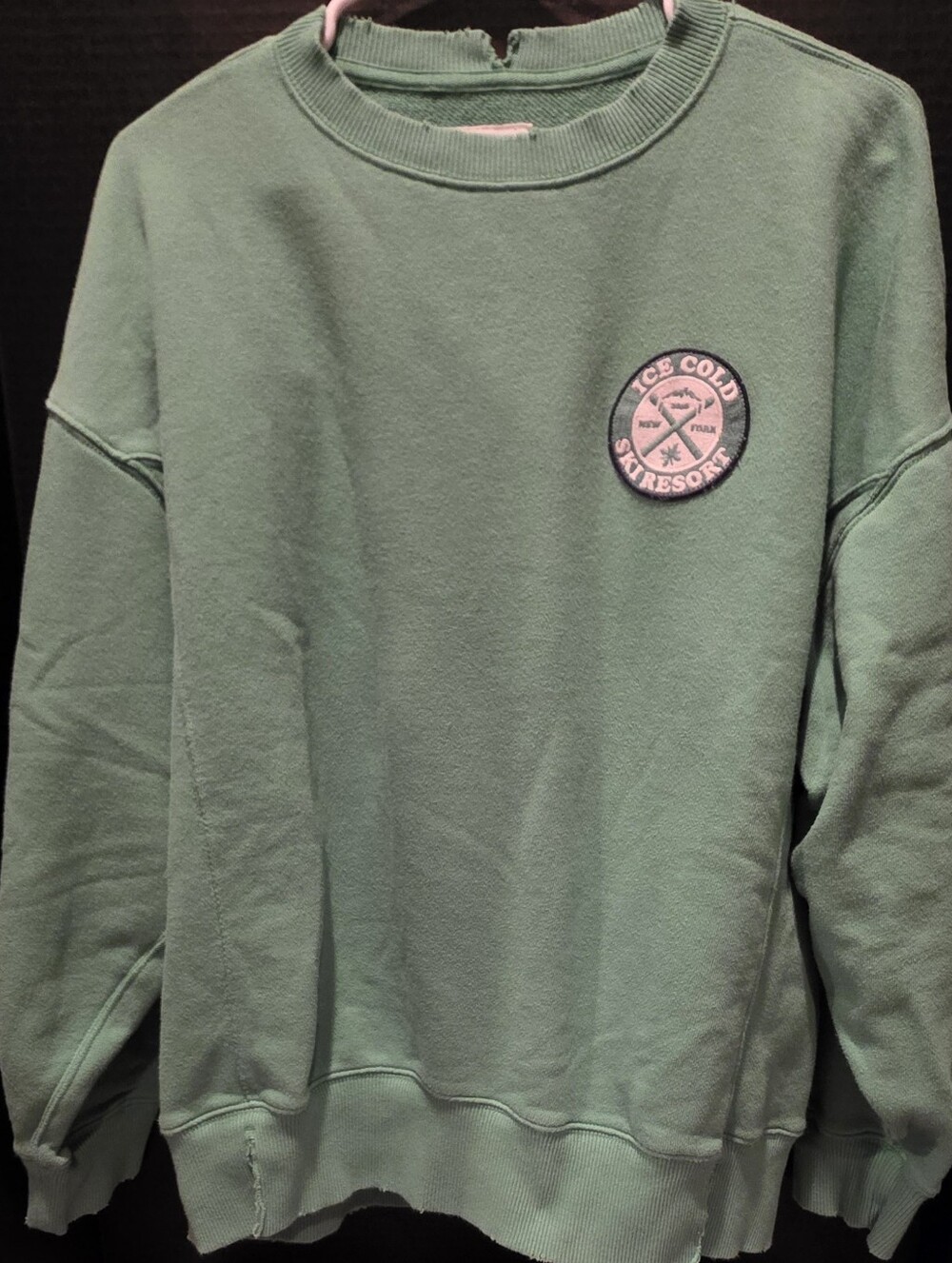 aerie Green Crewneck Sweatshirt with Patch